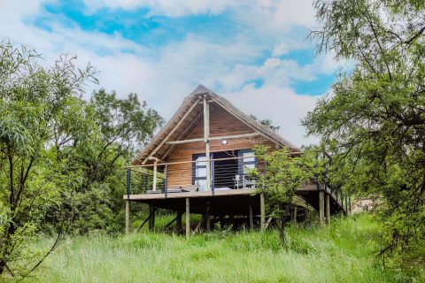 Accomodation Cradle Boutique Hotel accomodation-cradle-boutique-hotel